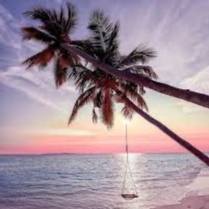 Meet your Posher, Posh